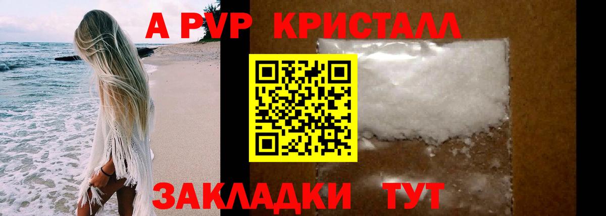 A PVP СК Сосновый Бор