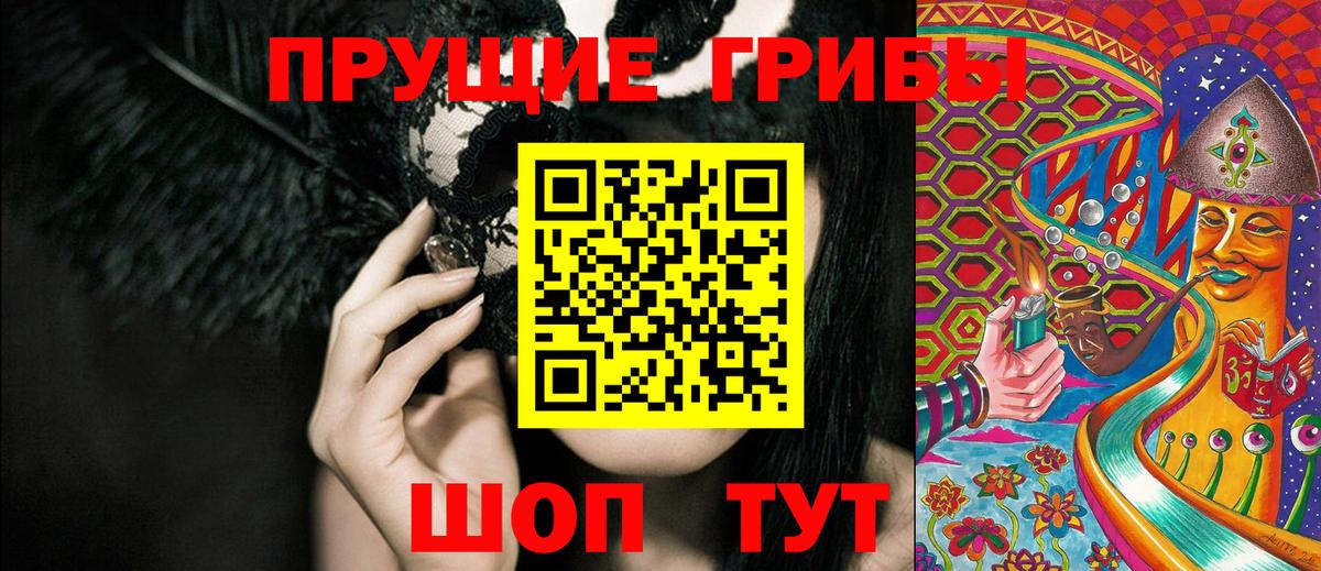 Сосновый Бор  Галлюциногенные грибы Psilocybe  как найти закладки  Вход с VPN 