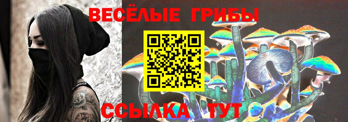 Псилоцибиновые грибы MAGIC MUSHROOMS Сосновый Бор
